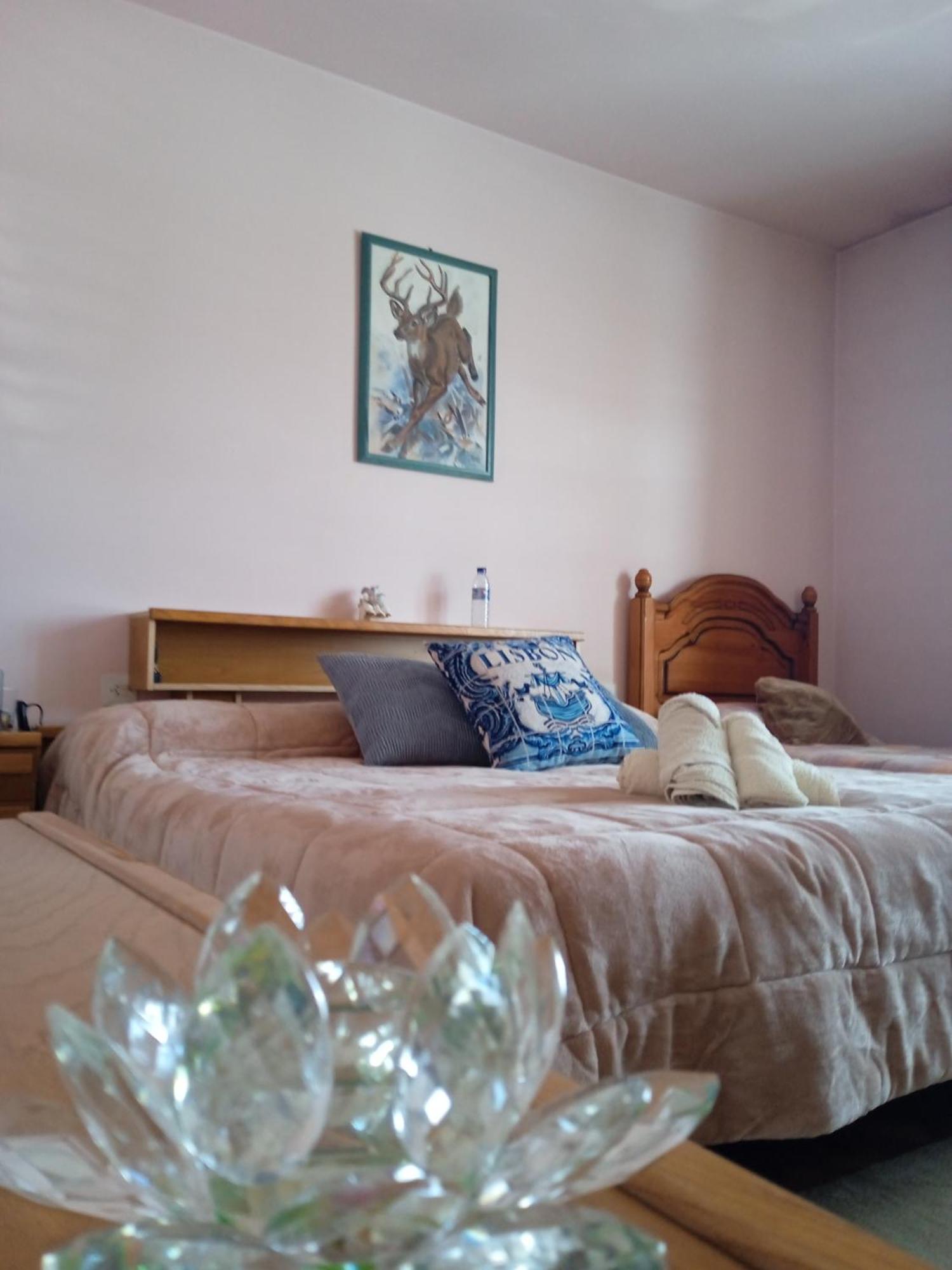A Casa De Abelleira Ponteareas Bed & Breakfast Екстериор снимка